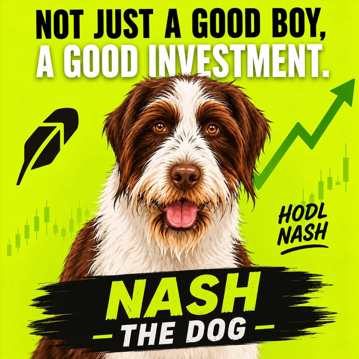 Nash good boy and good investment meme
